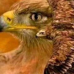 Profile Picture of Denis Kabu (@denis.kabu) on Tiktok