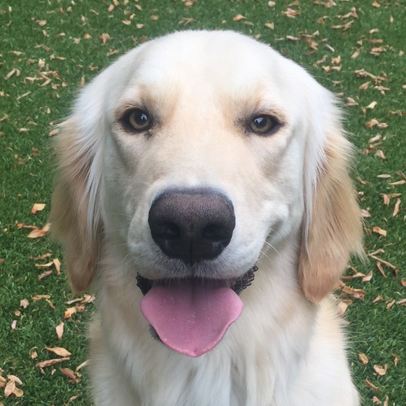 Profile Picture of Michele Hanks (@micheleh2011) on Poshmark