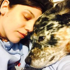 Profile Picture of Amy Cordara (@@amycordara) on Tiktok