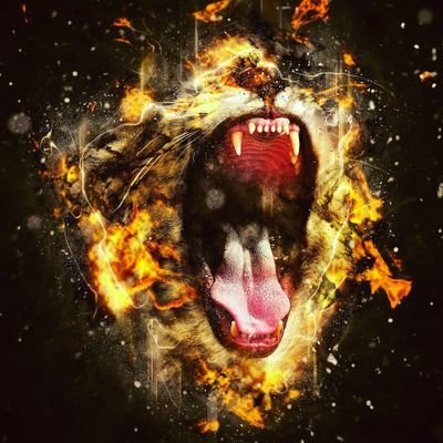 Profile Picture of Dandre Thomas (@DandreThomas8) on Twitter