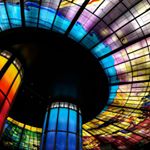 Adam Bojkovic - Instagram Profile Picture of Adam Bojkovic (@adam_bojkovic8) on Instagram