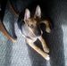 Profile Picture of Dixie HammondCopeland (@dixie.hammondcopeland) on Facebook