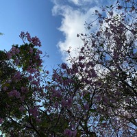 Profile Picture of Amanda Ramtahal (@amanda-ramtahal-2) on Quora