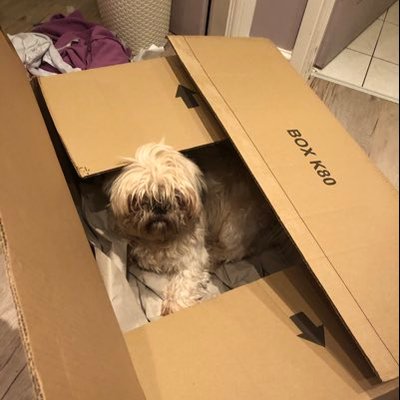 Profile Picture of Jasmine Molly Abbott (@jasminemollyab2) on Twitter