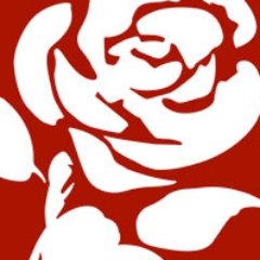 Profile Picture of NewForestWest Labour (@LabourNFW) on Twitter