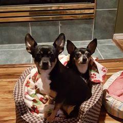 Profile Picture of Lori Baumgartner (@loribaumgartner) on Tiktok