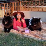 Profile Picture of Truffle & Holly the Chow Chows (@truffle_and_holly) on Instagram
