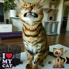 Profile Picture of Kim Ames (@@kimames1) on Tiktok