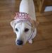 Profile Picture of Beth Gammon Feller (@bethandtim.bess) on Facebook