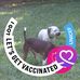 Profile Picture of Chris McManus (@chris.mcmanus.9279) on Facebook