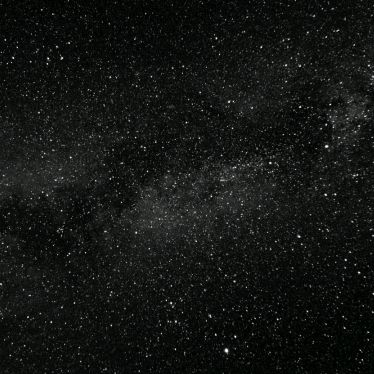 Profile Picture of Andres Pell (@andrespell) on Tiktok