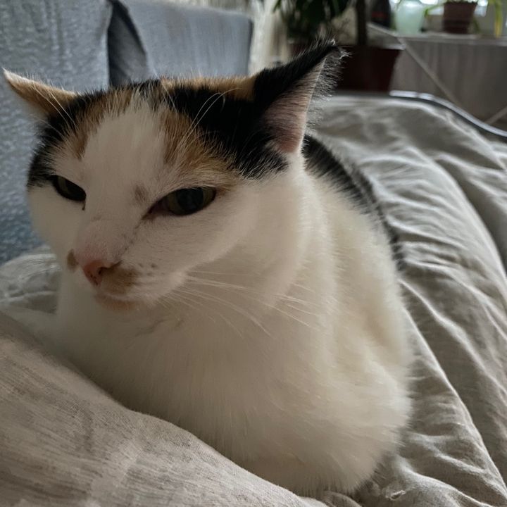 Profile Picture of Aaron Channel (@@aaronchannel5) on Tiktok