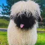 Profile Picture of Kenneth Dolera (@kenneth.dolera.98) on Facebook