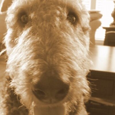 Profile Picture of Matthew Bolyard (@nisuj2000) on Twitter