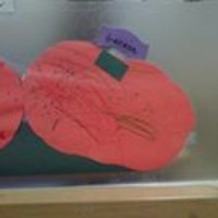 Profile Picture of Linge Bai (@linge-bai) on Quora