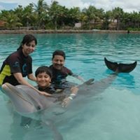 Profile Picture of Debasish Bhattacharya (@debasish-bhattacharya-9) on Quora