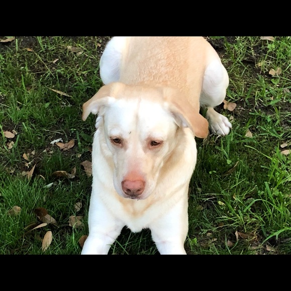 Profile Picture of Terry Jarocki (@terryjarocki) on Poshmark