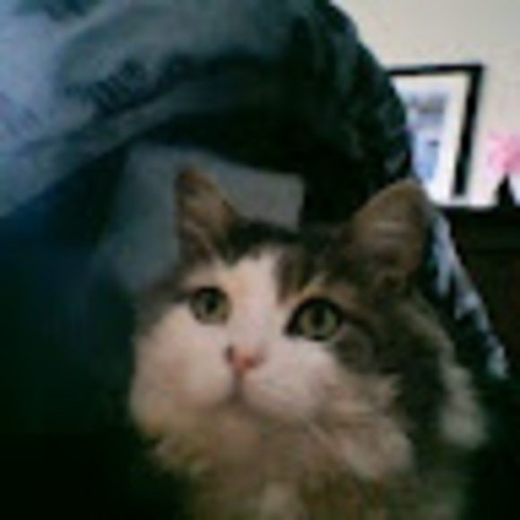 Profile Picture of Nancy Ross (@snancy282) on Poshmark