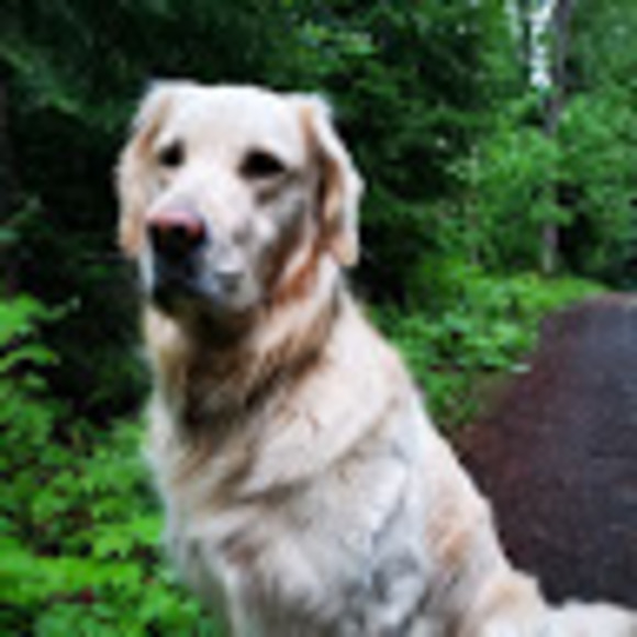 Profile Picture of Alexander Walker (@alexanderwal781) on Poshmark