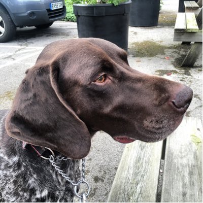 Profile Picture of Greg Foster (@greg_foster) on Twitter