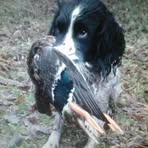 Profile Picture of John Colderley (@john.colderley) on Facebook