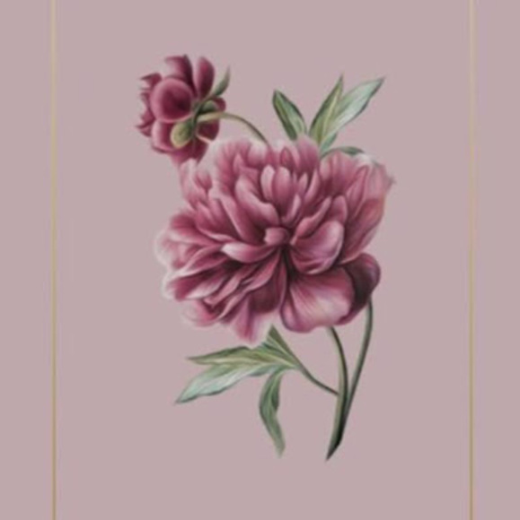 Profile Picture of Vladislava Plesca (@vladaplesca03) on Poshmark