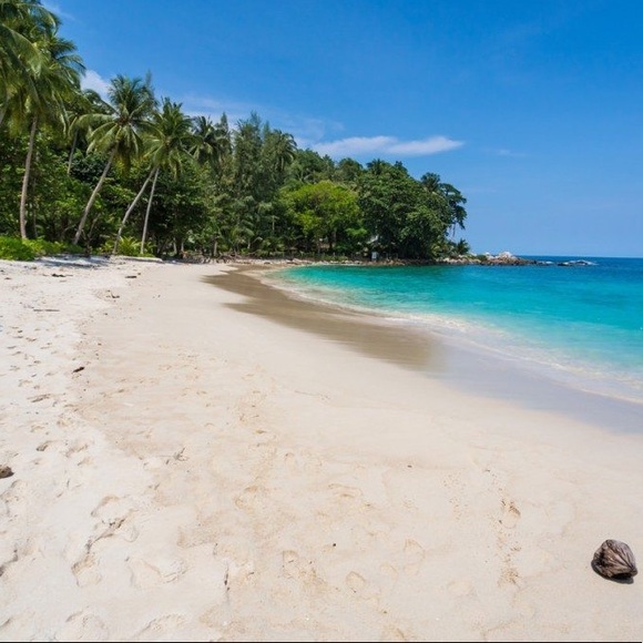 Alalyssa Sbertoli - Poshmark Profile Picture of Alalyssa Sbertoli (@rockstar6789) on Poshmark