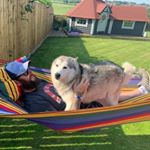 Profile Picture of Scott Christopher Nuttall (@scottchristophernuttall) on Instagram