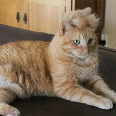 Profile Picture of Kim Trump (@kimtrump0) on Tiktok