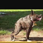 Profile Picture of Mercer Taylor (@that_guy_mercer) on Instagram