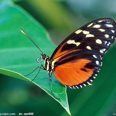 Profile Picture of Francis.zhao (@wzckr) on Twitter