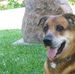Profile Picture of Velma Manning (@velma.manning.509) on Facebook
