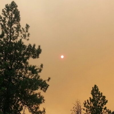 Robert Radonski - Twitter Profile Picture of Robert Radonski (@riskirob) on Twitter