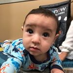 Profile Picture of Sandro Mina (@mina_sandro) on Instagram