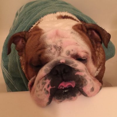 Profile Picture of Joe Cano (@JcanoJoe) on Twitter