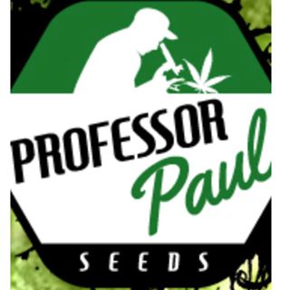 Profile Picture of Paul Alexander Borchard (@paul.a.borchard) on Facebook