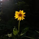 Profile Picture of •Anlyn Flake• (@anlyn.joy) on Instagram