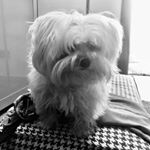 Profile Picture of Mauro Patti (@mauro_patti) on Instagram