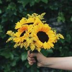 Profile Picture of Za Lo Xime (@iris.larios.75) on Instagram