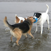 Profile Picture of Jacqueline Oneill (@jacquelineoneill5244) on Youtube