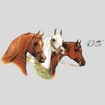 Profile Picture of Karl-Heinz Stöckle (@gestuet.osterhof) on Instagram