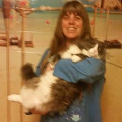 Profile Picture of Vicky Sweeney Butche (@@vickysweeneybutcher) on Tiktok