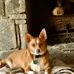 Profile Picture of Linda Fishel (@linda.fishel.79) on Facebook