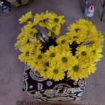 Profile Picture of Nan Mattox (@Nan-Mattox) on Facebook