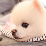 Profile Picture of lucie__zhang (@lucie__zhang) on Instagram