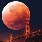 Profile Picture of alice busso (@alice.busso) on Instagram