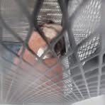 Profile Picture of Guillermo Perez (@guillermo.perez.33381) on Facebook