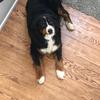 Profile Picture of Jeff herkins (@@herk4747) on Tiktok