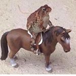 Profile Picture of Worm & Frog (and Cricket) (@wormfrogs) on Instagram