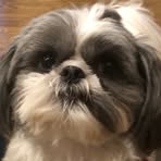 Profile Picture of Joe Doty (@Joe-Doty) on Facebook